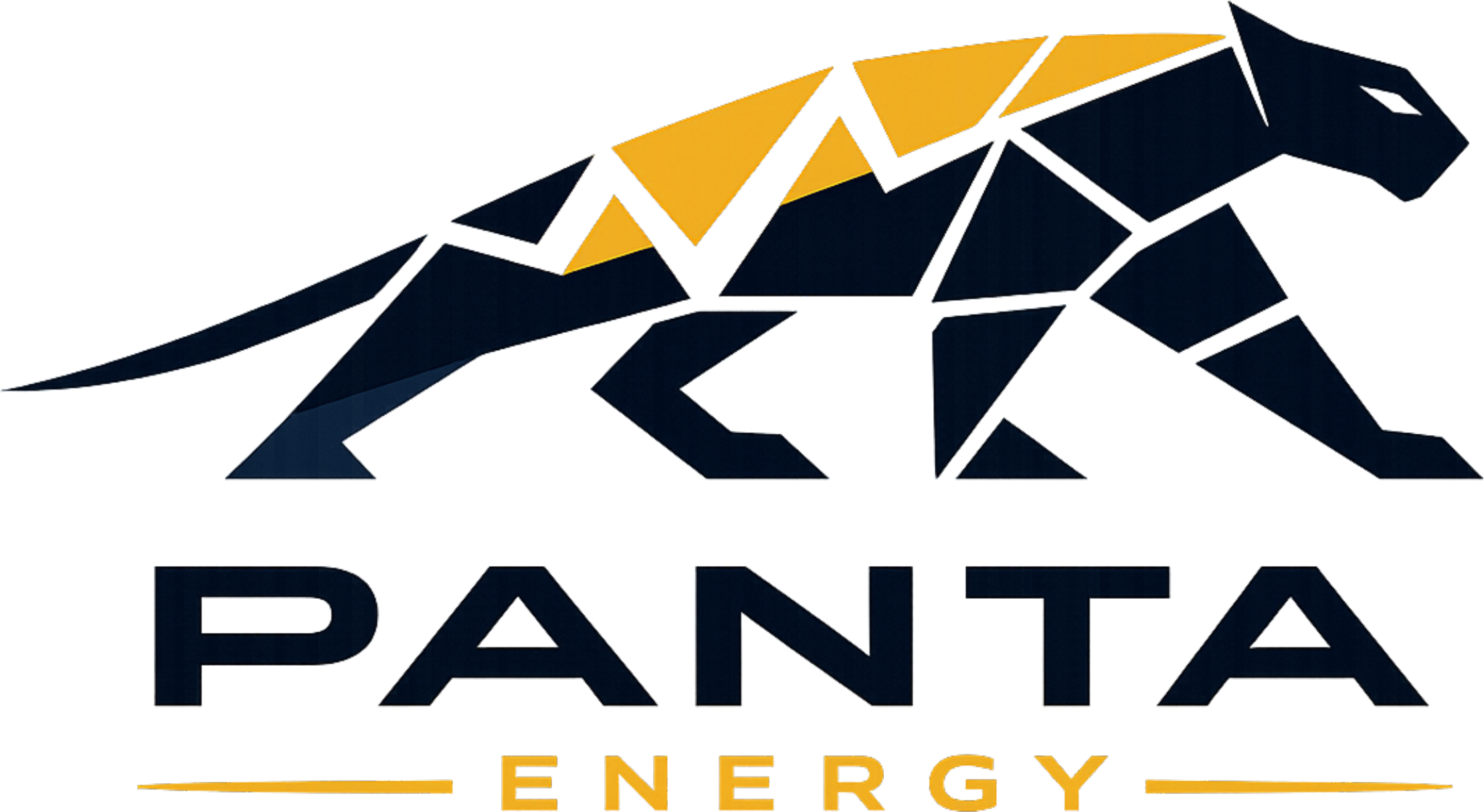 Panta Energy Logo